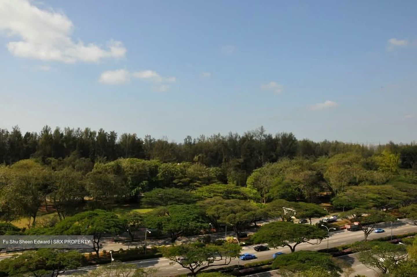 Hawaii Tower (D15), Condominium #534499271